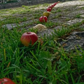 Even Minor Milestones Mark the Road to a Greener Future