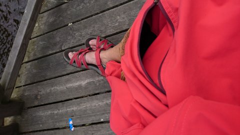 Hur Green Hope började: en idé tar form