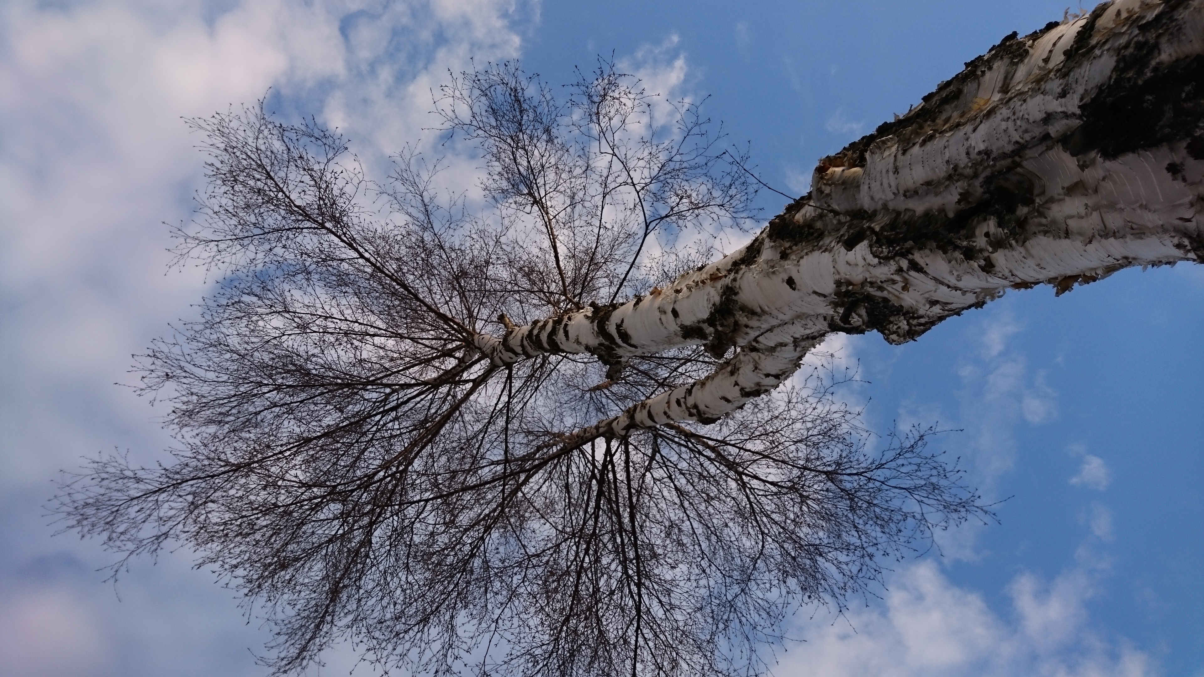 Balancing creativity with human concerns