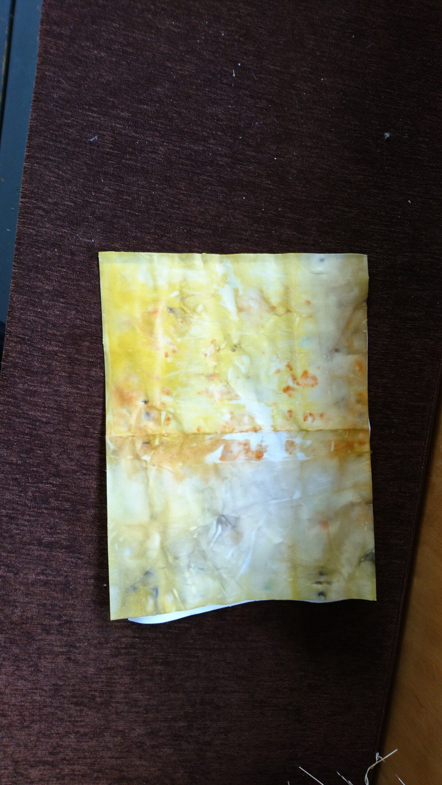 Overcoming Obstacles: A Project’s Greatest Test