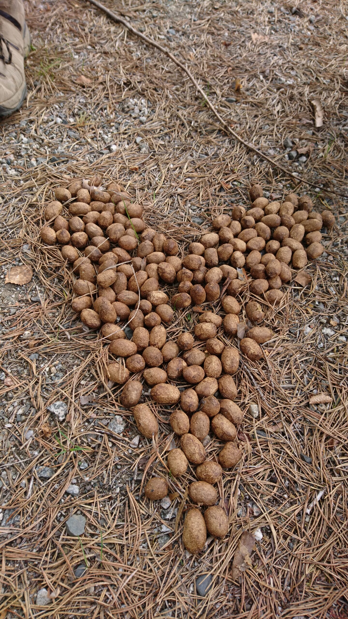 Stop, look and learn, the power of reflection!